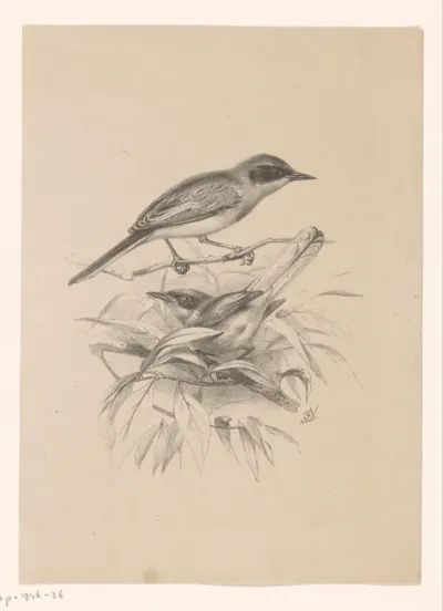 Twee kleine vogels op een tak