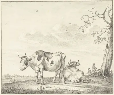 Twee koeien