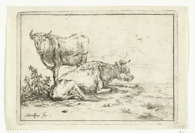Twee koeien