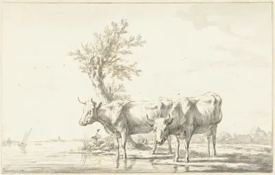 Twee koeien aan de oever van een rivier