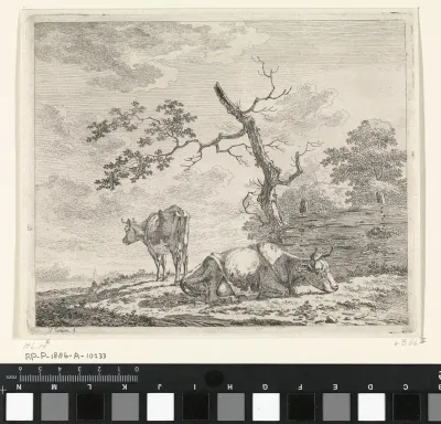 Twee koeien bij hek