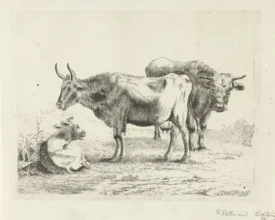 Twee koeien en een kalf
