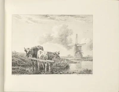 Twee koeien en een molen aan het water