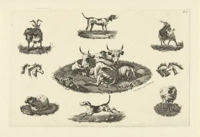 Twee koeien en een schaap en andere dieren