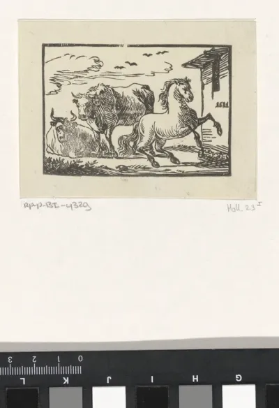 Twee koeien en een steigerend paard