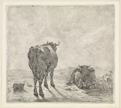 Twee koeien en op de achtergrond een dorp