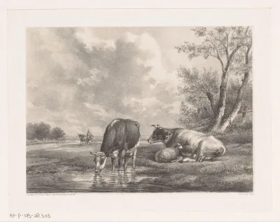 Twee koeien en schaap bij het water