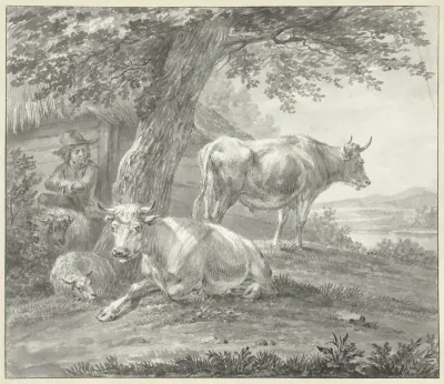 Twee koeien en twee schapen onder een boom bij een schuur