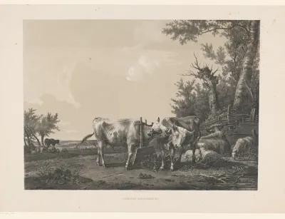 Twee koeien en vee in landschap