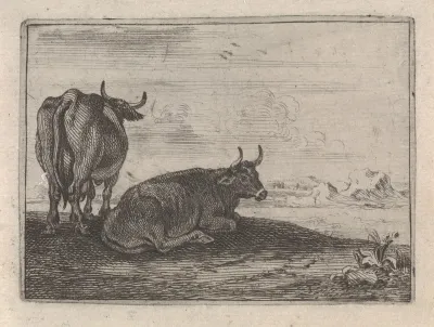 Twee koeien in een landschap