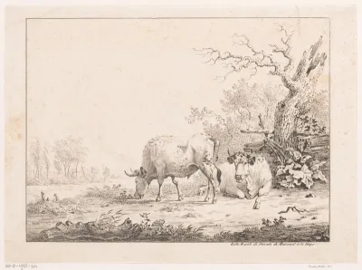 Twee koeien in een landschap