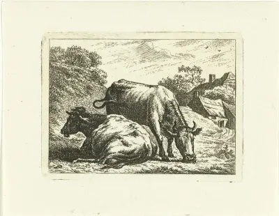 Twee koeien langs weg bij boerderij