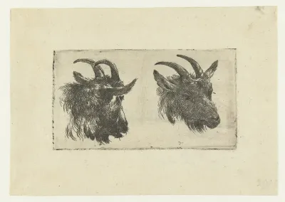 Twee koppen van geiten