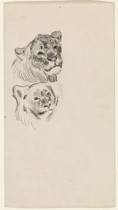 Twee koppen van leeuwen