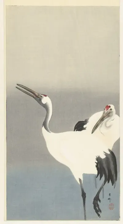 Twee kraanvogels