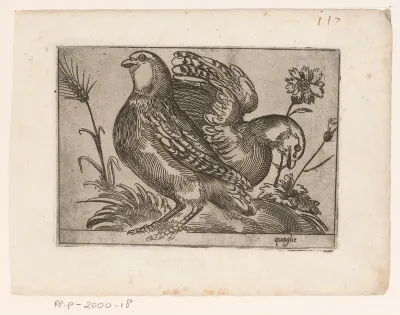 Twee kwartels