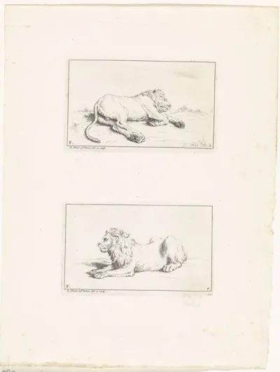 Twee leeuwen