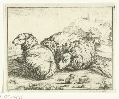 Twee liggende schapen, bergdorpje op achtergrond