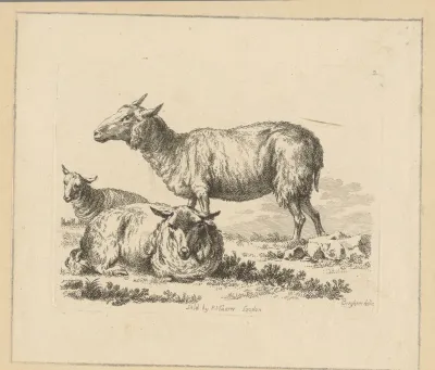 Twee liggende schapen en een stand schaap