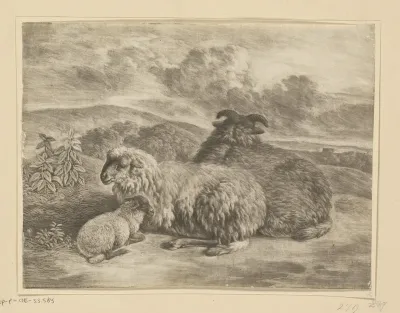 Twee liggende schapen met lam