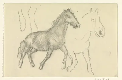 Twee lopende paarden