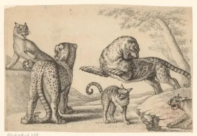 Twee luipaarden en drie wilde katten