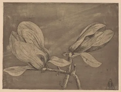 Twee magnoliabloemen