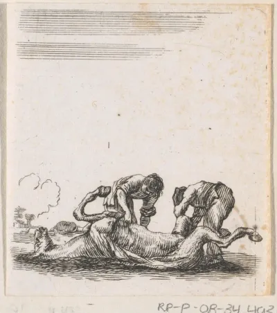 Twee mannen villen een paard