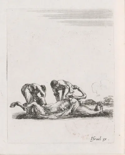 Twee mannen villen een paard