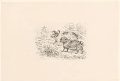 Twee mollige honden met strik en bel