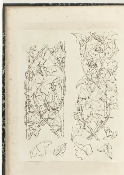 Twee motieven met klimplanten en losse bladeren