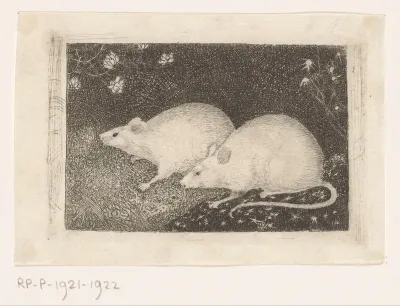 Twee muizen
