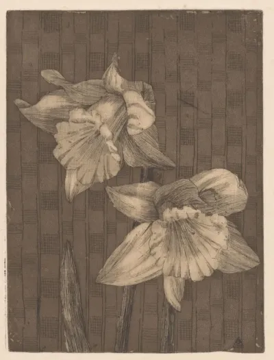Twee narcissen