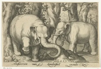 Twee olifanten