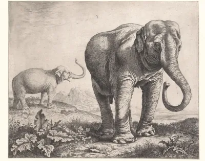Twee olifanten in een landschap