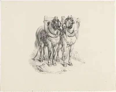 Twee opgetuigde paarden