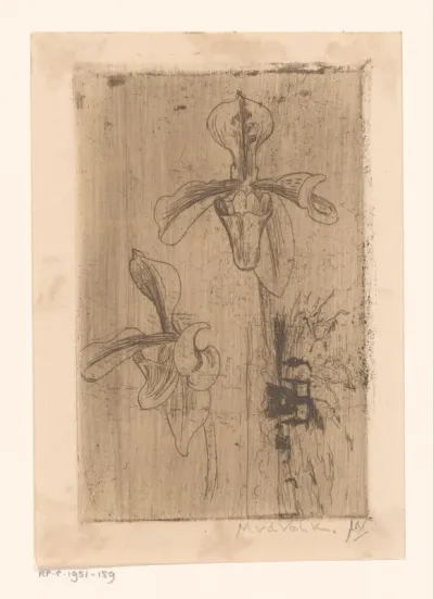 Twee orchideeën en een kar op het strand