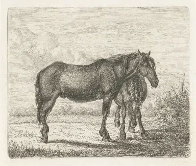 Twee paarden