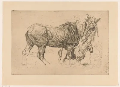 Twee paarden