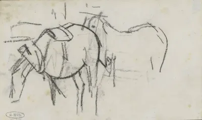 Twee paarden