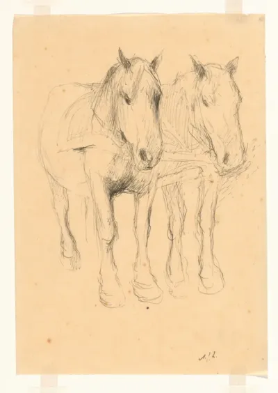 Twee paarden