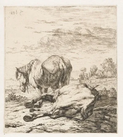Twee paarden