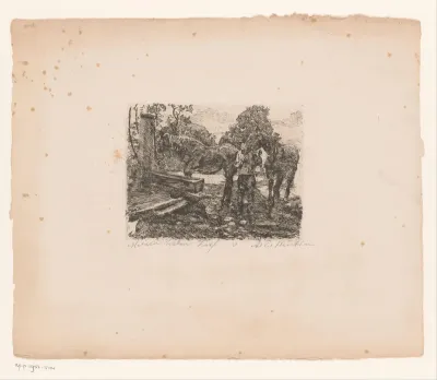 Twee paarden bij drinkbak