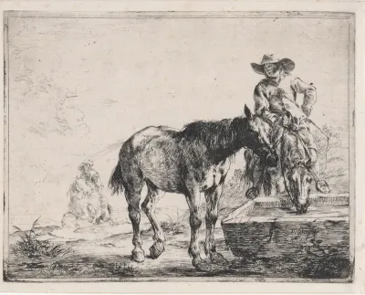 Twee paarden bij een trog