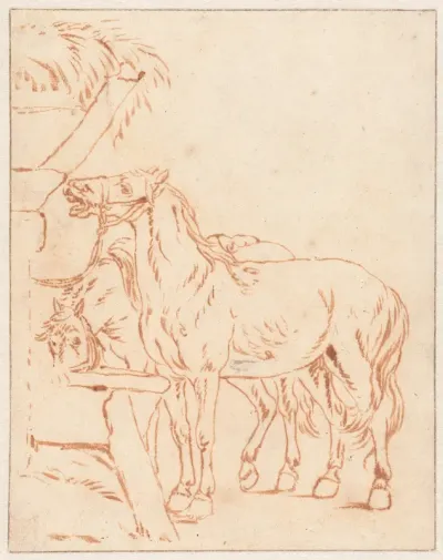 Twee paarden bij een trog