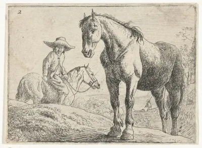 Twee paarden, één met ruiter