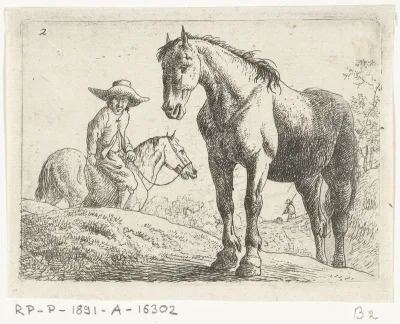 Twee paarden, één met ruiter
