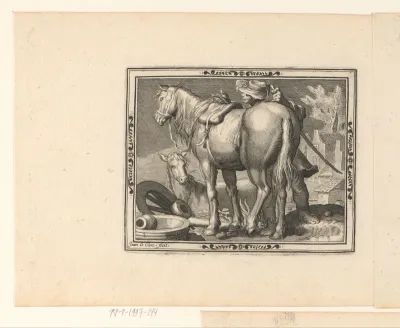 Twee paarden en een man