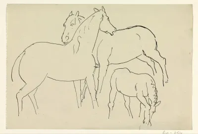 Twee paarden en een veulen