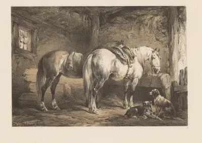 Twee paarden en honden in een stal